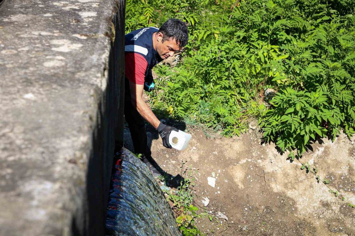 Mollaköy Göleti'nden alınan su numuneleri üzerinde yapılan analizleri gösteren görsel.