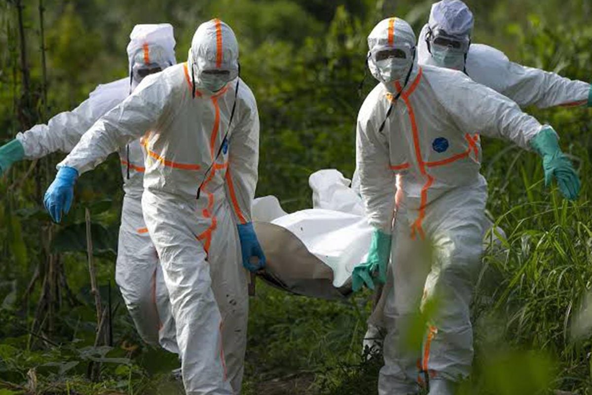 Nijerya'da kolera salgını: 14 ölü