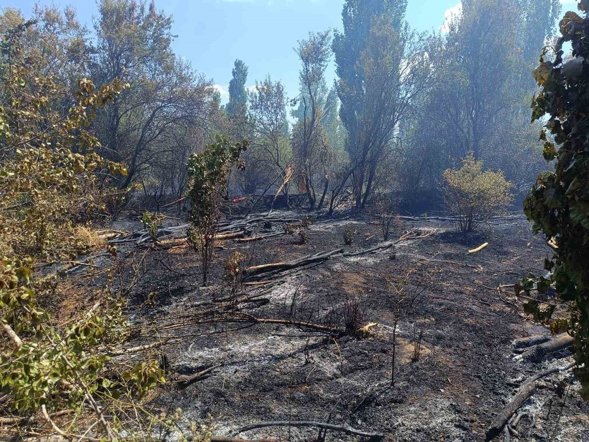 Sandıklı'da Ot Yangını: Ağaçlık Alan Zarar Gördü
