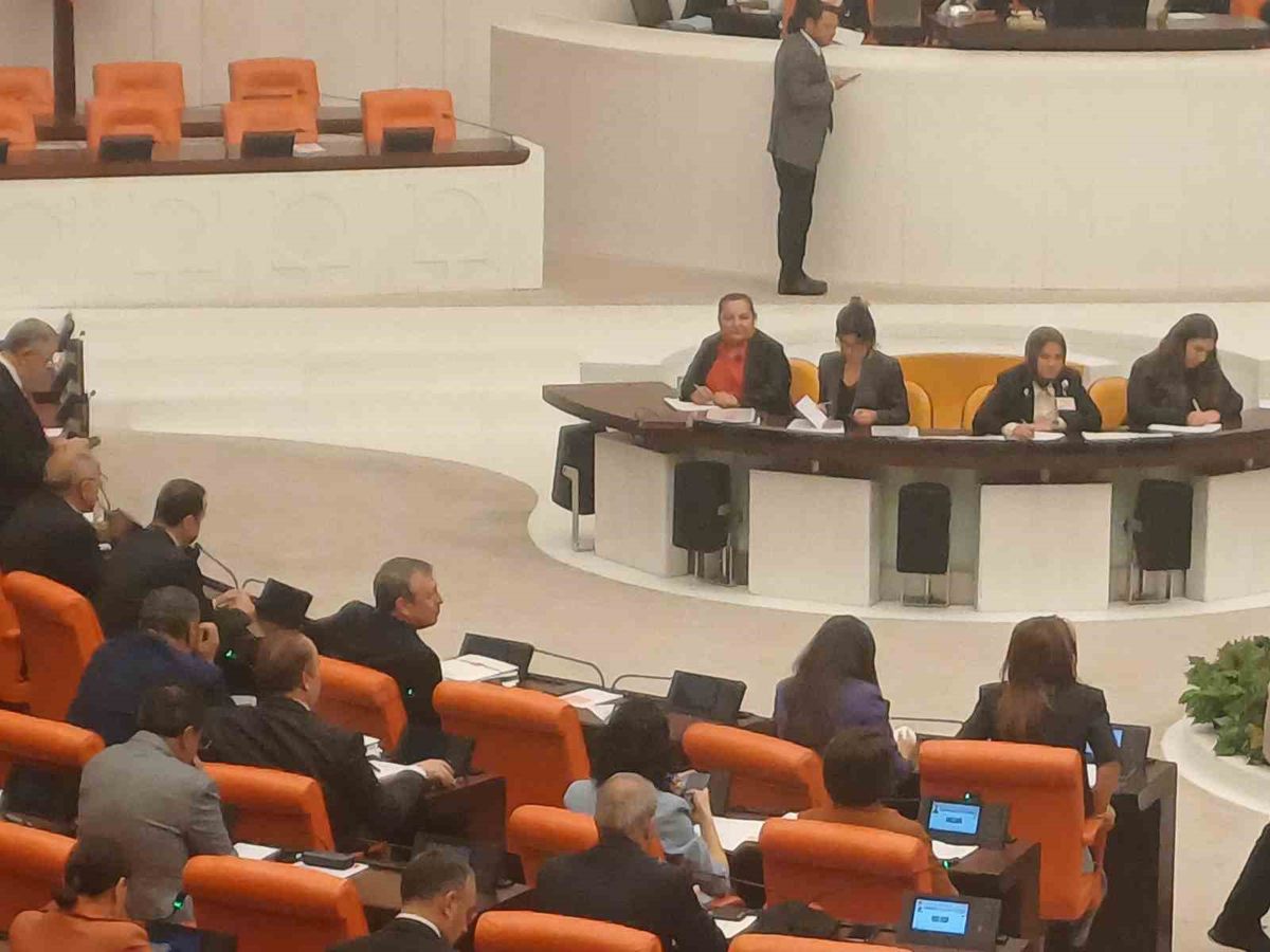YENİ Parti'nin TBMM'ye girişiyle koltuk düzeni değişti