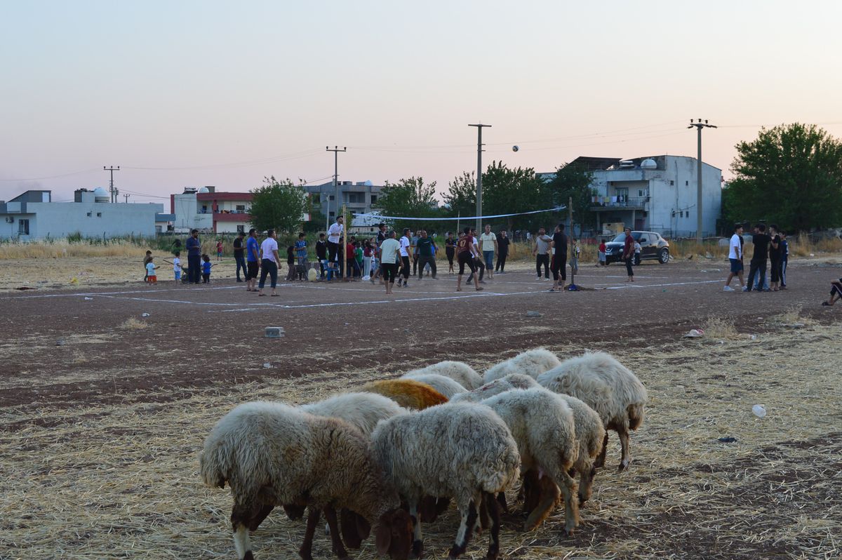 Mardin'de Köylüler Kendi İmkanlarıyla Kurdukları Toprak Sahada Voleybol Oynuyor