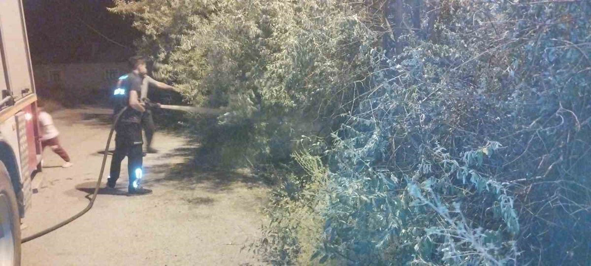 Başkale'de bahçe yangını korkuttu