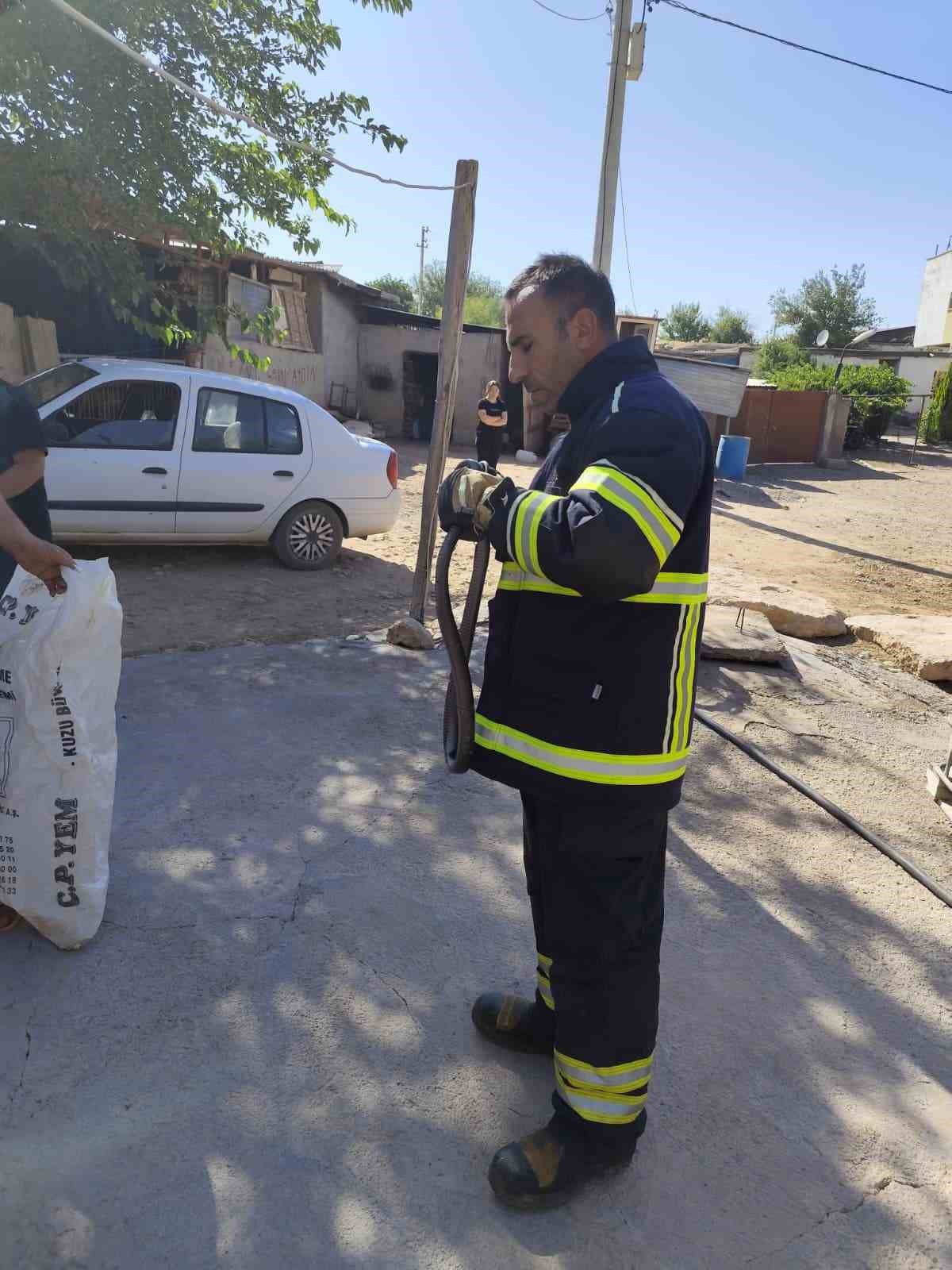 Bismil'de yatak odasındaki yılan itfaiye tarafından doğaya bırakıldı