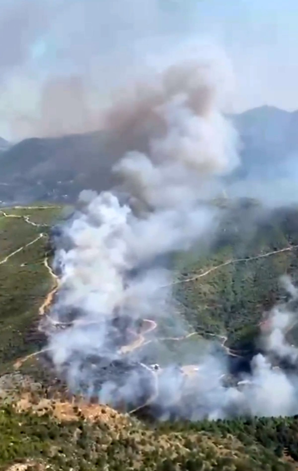 Alanya'da orman yangını