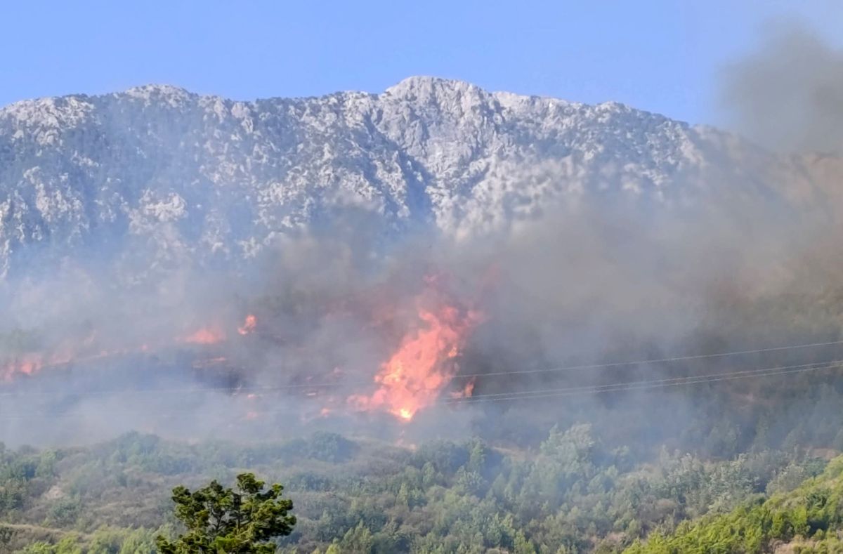 Alanya'da orman yangını