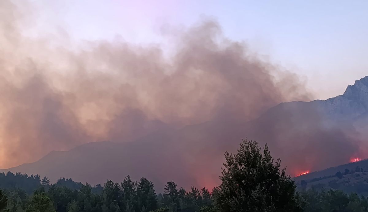 Alanya'da orman yangını