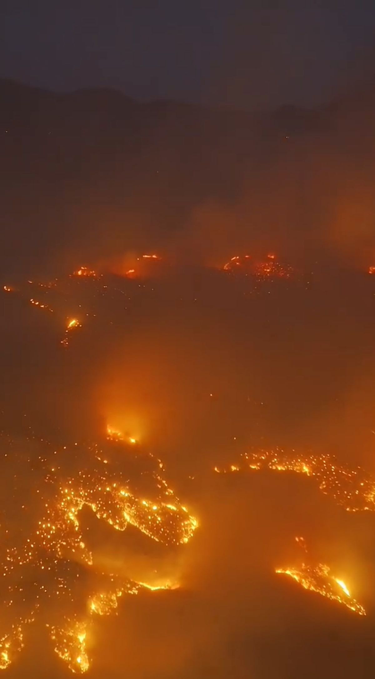 Alanya'da orman yangını
