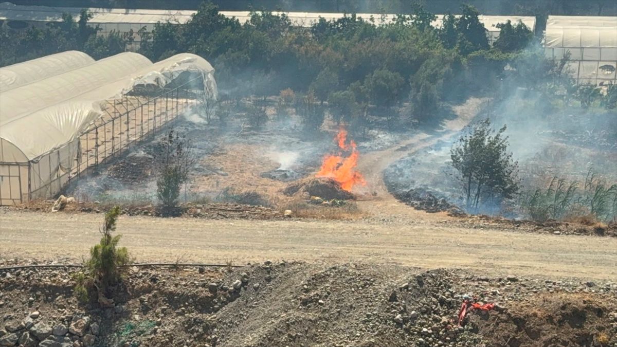 Antalya'da iki ayrı sera alanı ve bahçede çıkan yangında hasar oluştu