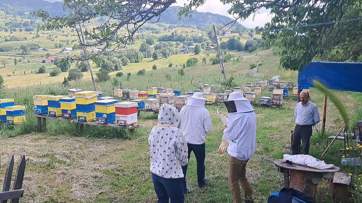 Artvinli bal üreticileri: 'Şavşat balı dünya kalitesinde ancak marka değeri yok'