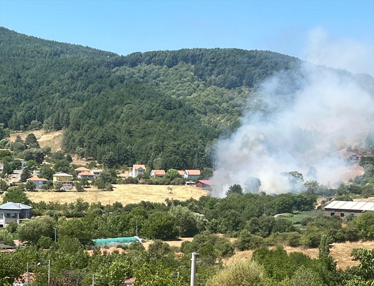 Aydın Kuyucak'ta zeytinlik alanda çıkan yangın kontrol altına alındı