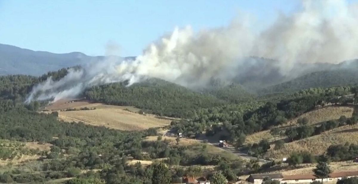 Çanakkale'de, Bayramiç’te de orman yangını çıktı