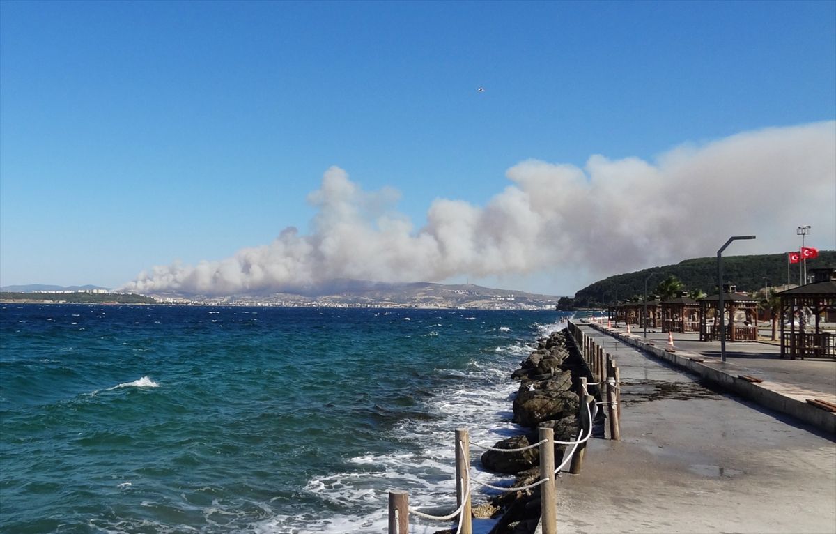 Çanakkale'de ormanlık alanda çıkan yangına müdahale ediliyor