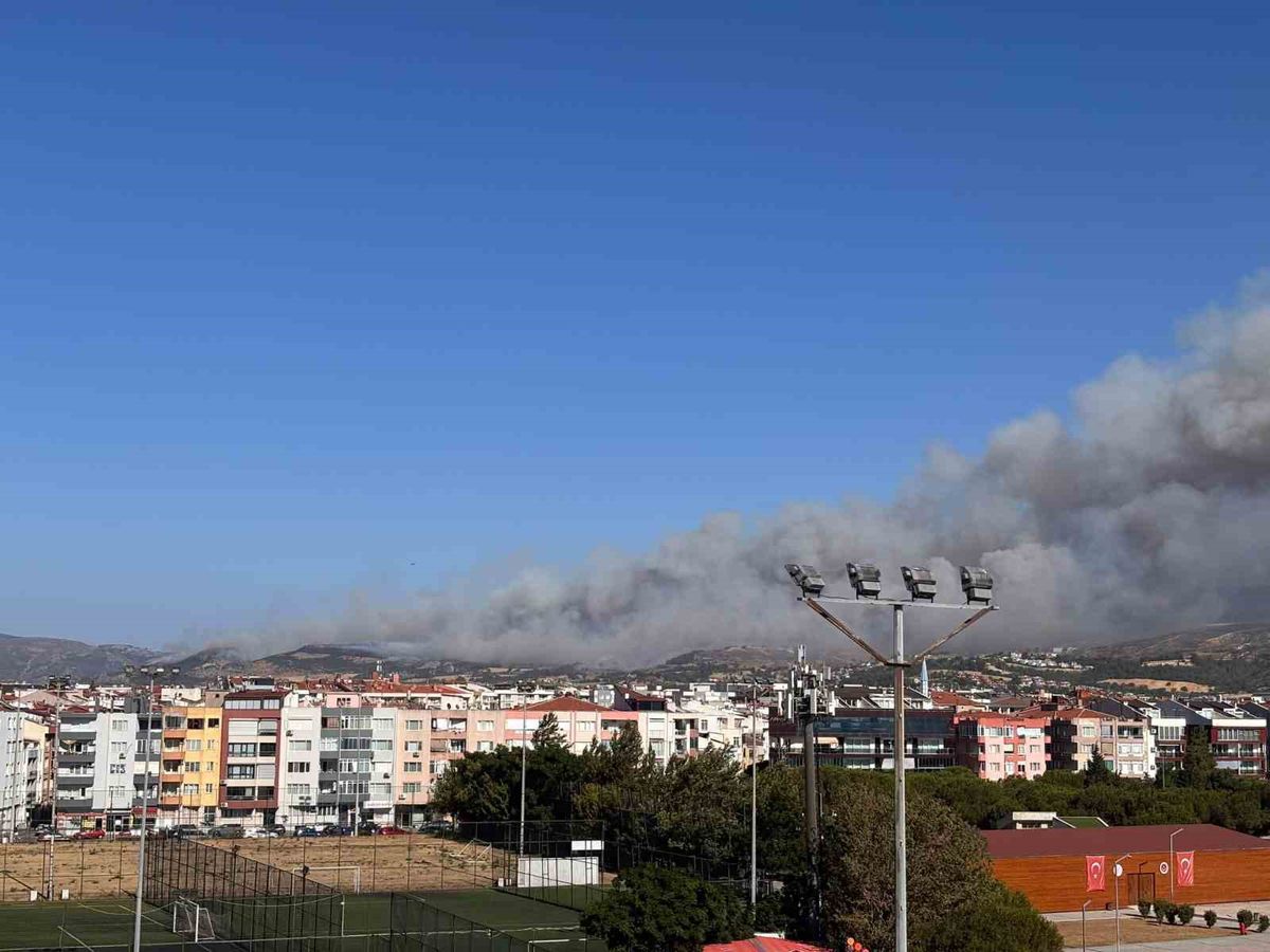 Çanakkale’deki orman yangınına müdahale sürüyor
