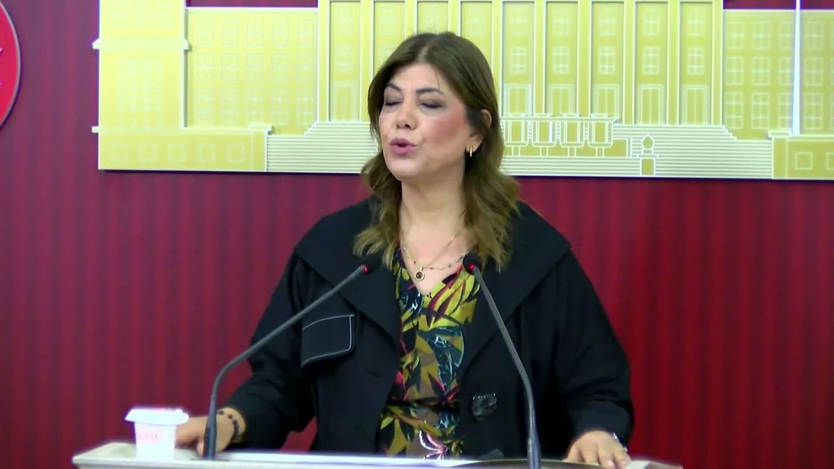 DEM Parti'li Meral Danış Beştaş: 'Çocuk yoksulluğu sadece gelir eksikliği değil, temel insan hakları sorunudur'