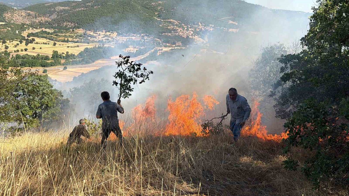 Domaniç’te tarlada başlayan ve ormanlık alana sıçrayan yangın söndürüldü
