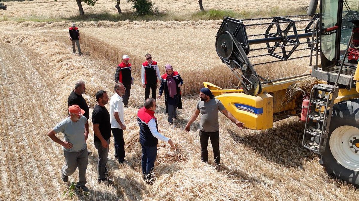 Erzincan’da buğday hasadı sürüyor, biçerdöverler denetlendi