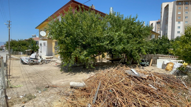 karamanda kopek dehseti 3 yasi 20097516 8277 1 m