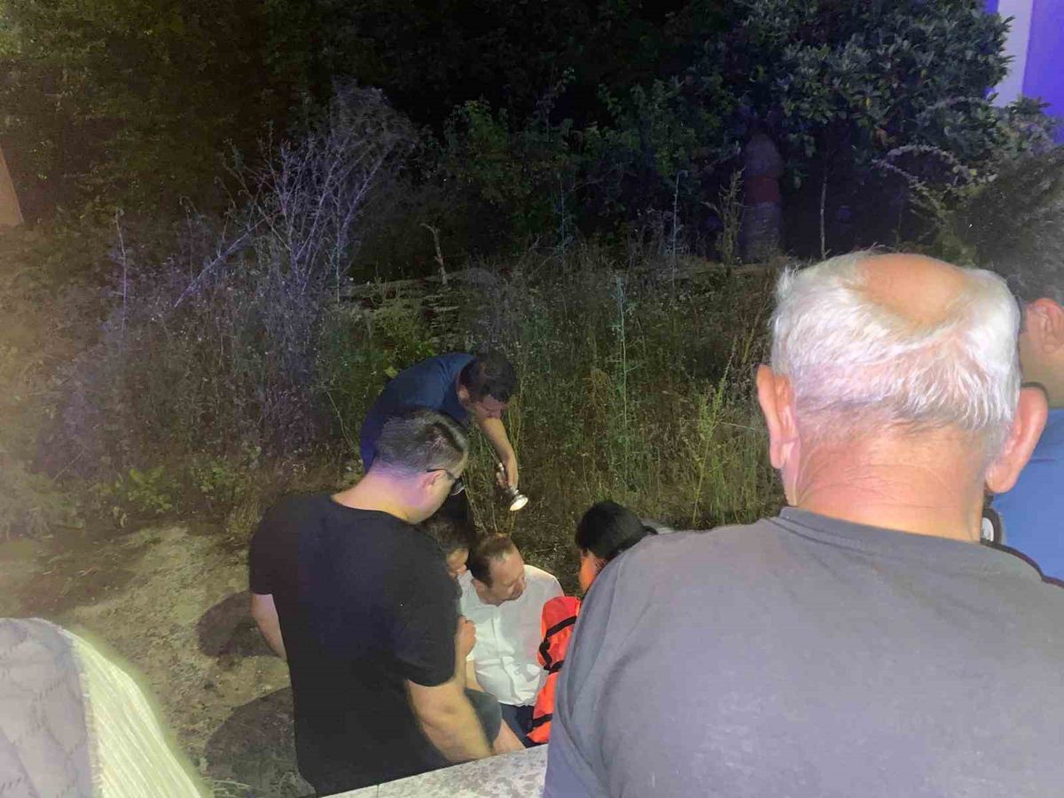 Kedilere süt verirken bahçeye düştü