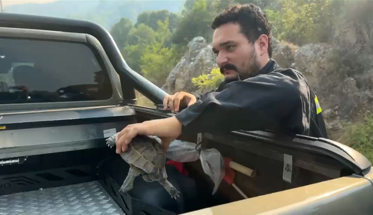 Kumluca'da orman yangını