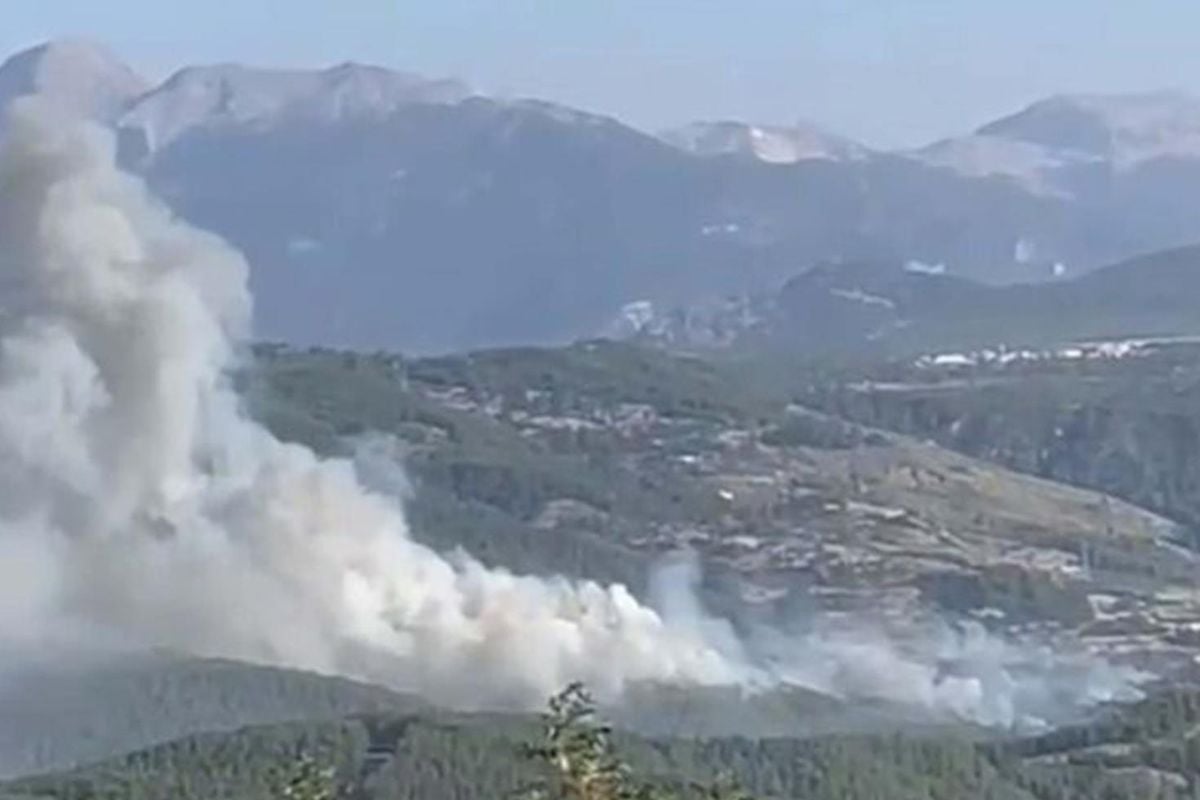 Muğla'da orman yangını