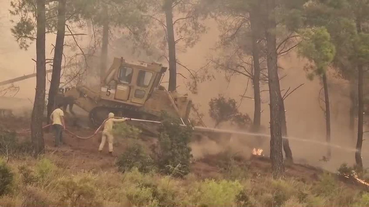 Muğla Seydikemer'de yangına havadan ve karadan müdahale