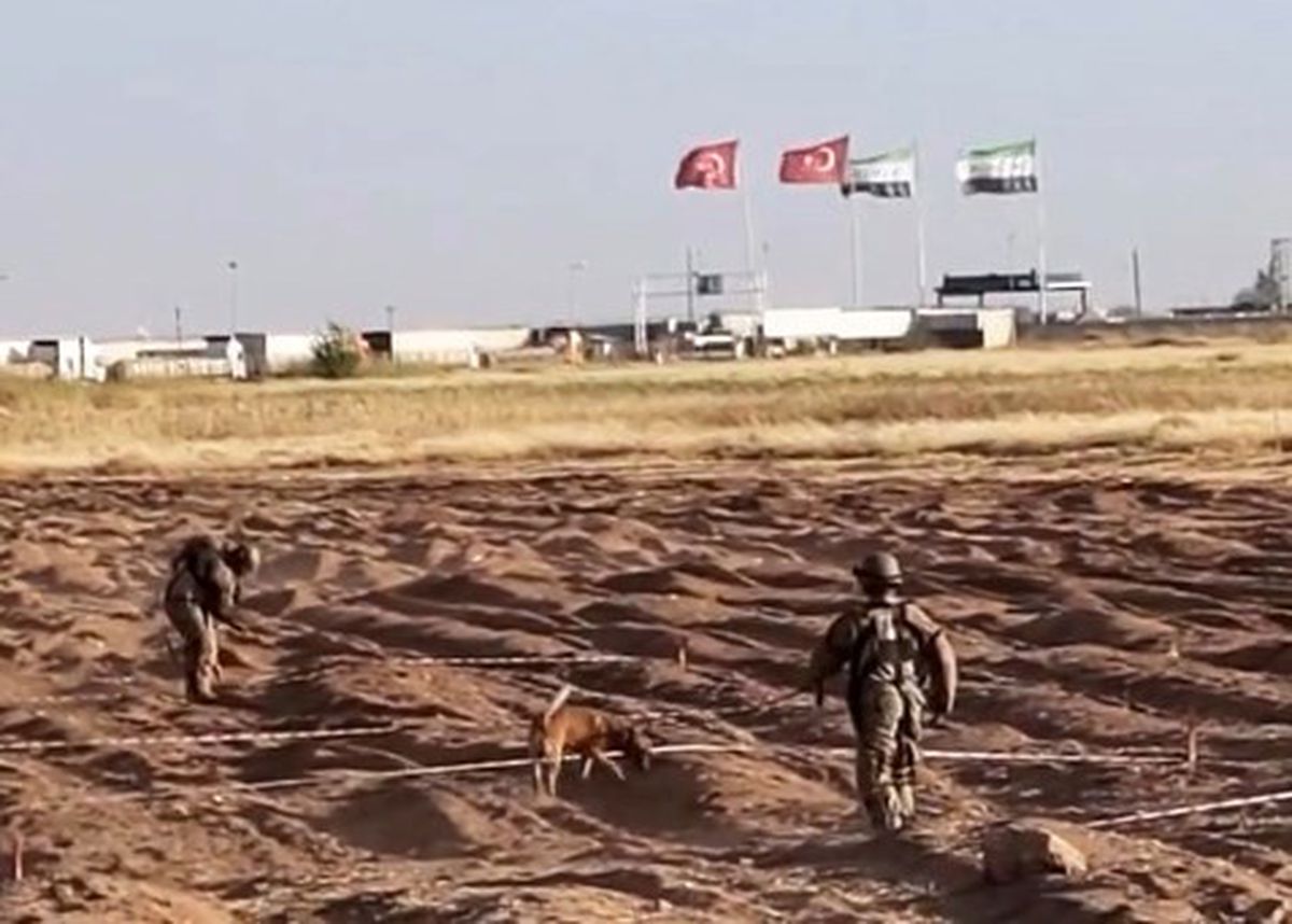 Öncüpınar Sınır Hattı’nda mayın temizleme çalışmaları sürüyor