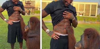 Orangutan, Quaresma’nın kaslarına hayran kaldı