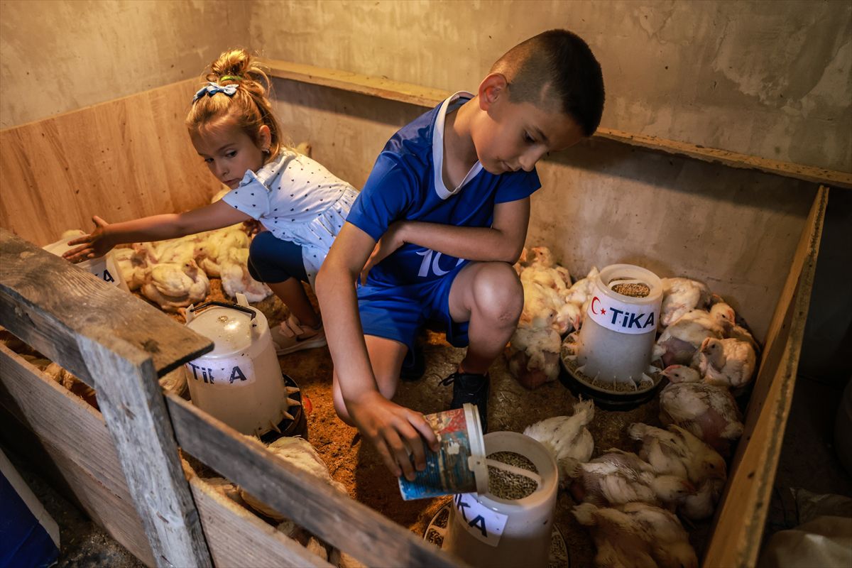 TİKA'dan Bosna Hersek'teki yetim ailelerine kümes hayvancılığı desteği