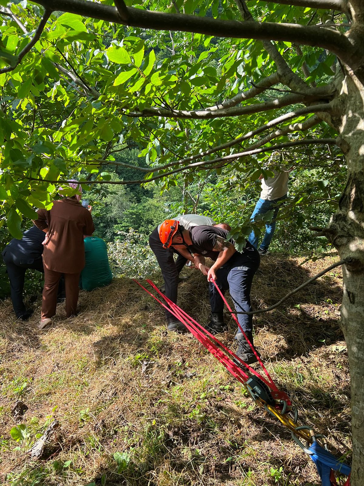 Trabzon'da yamaçtan yuvarlanan inek kurtarıldı