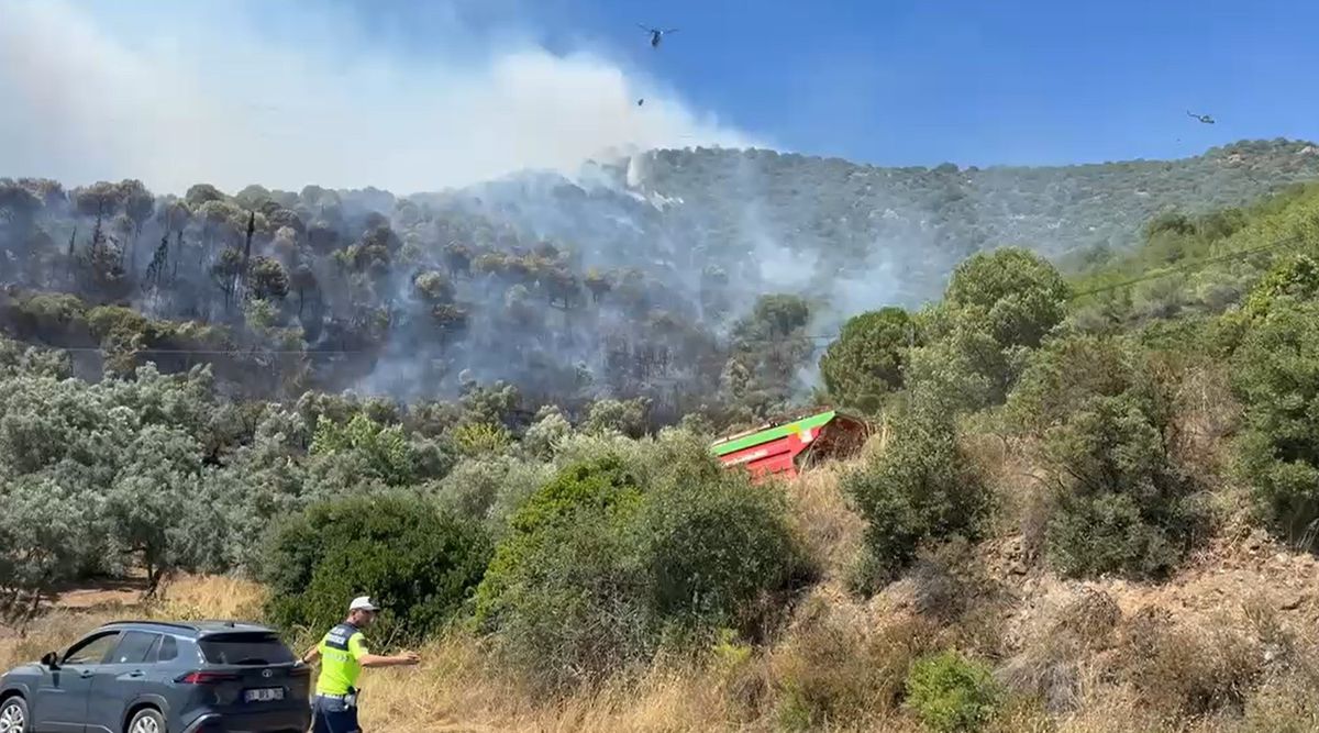 Yalova’da orman yangını (2)