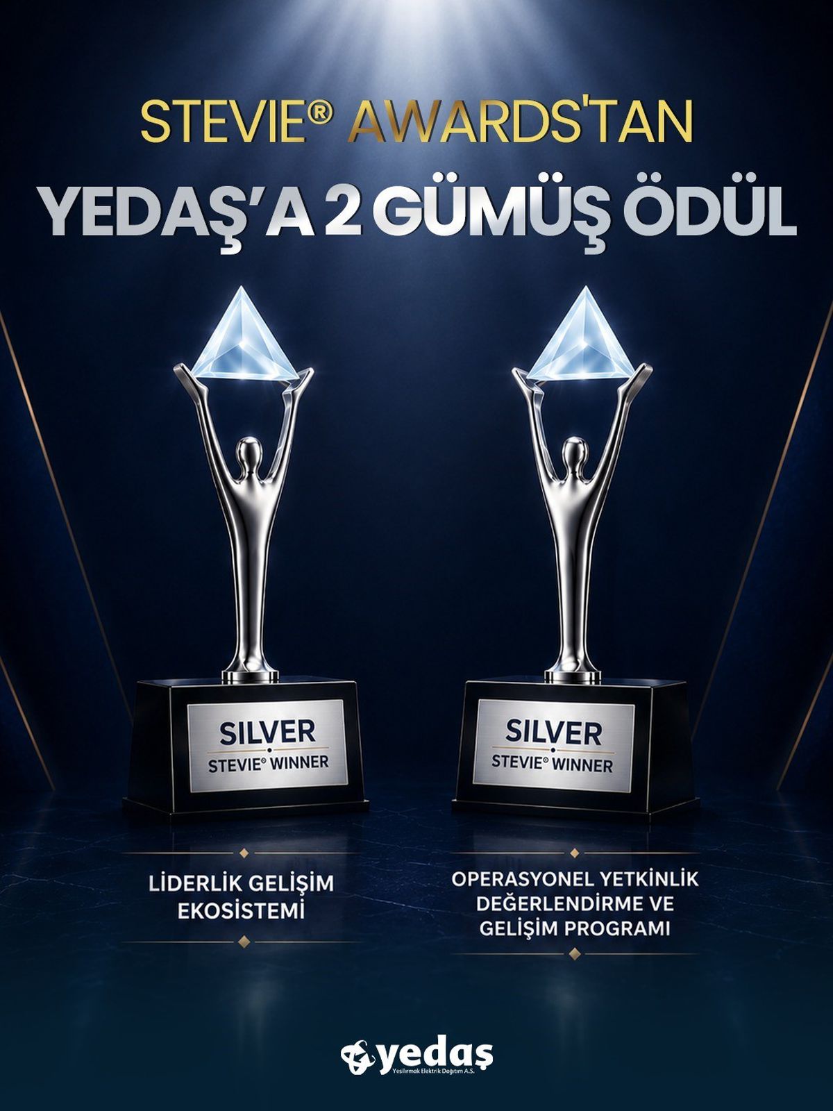 YEDAŞ’a Stevie Awards’tan iki gümüş ödül