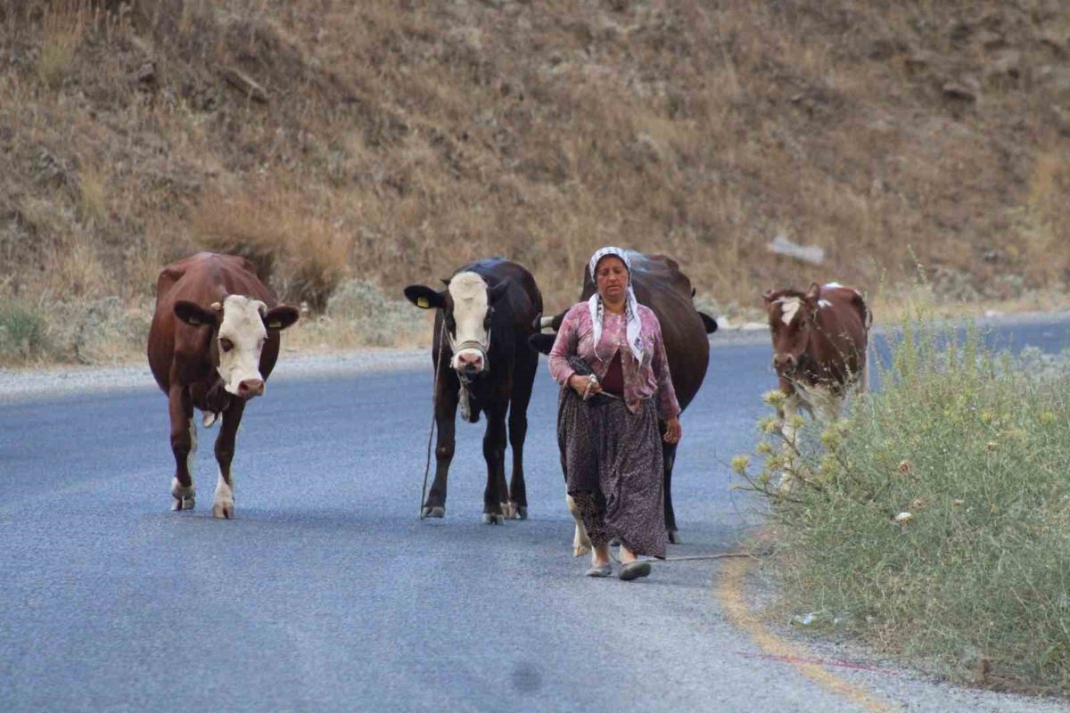 Alevlerden kaçtılar, hayvanlarını ve kendi canlarını zor kurtardılar