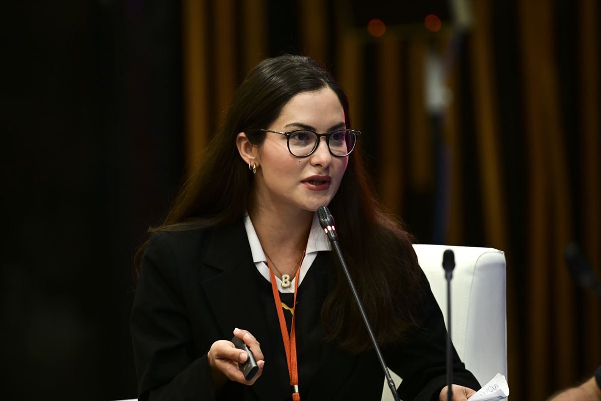 Ankara'da fikri mülkiyet suçları kapsamında 'Teknoloji, Oyuncak, Giyim ve Diğer Sektörler' paneli yapıldı