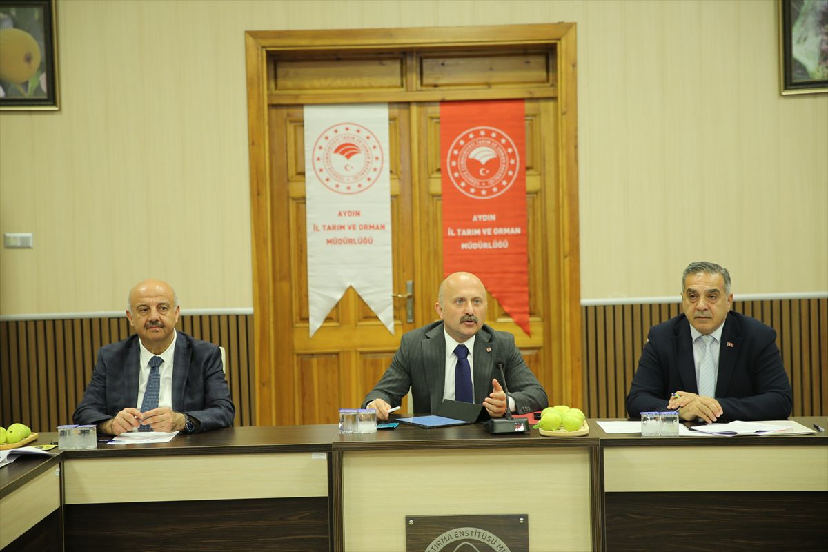 Aydın'da kuru incir depolama alanlarında denetim artacak