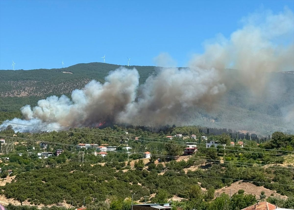Aydın'da ormanlık alanda yangın çıktı