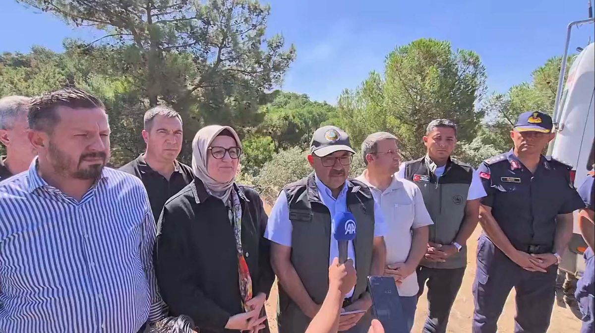 Balıkesir Edremit'teki yangın 2'nci gününde