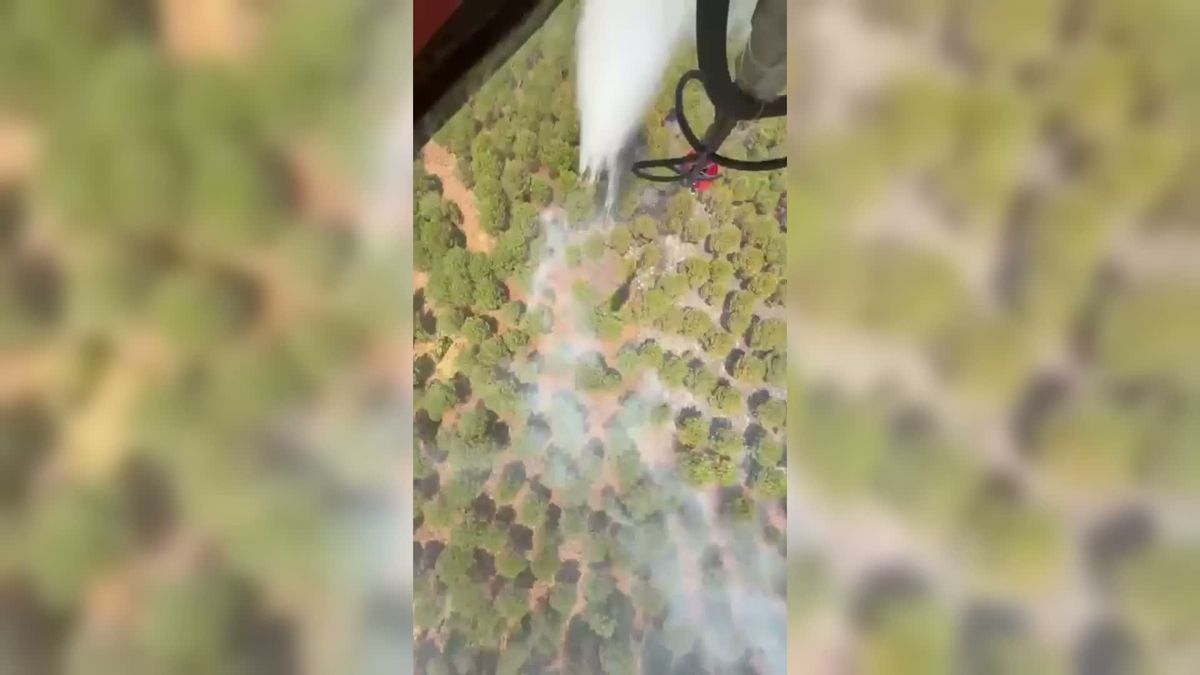Balıkesir Gömeç'teki orman yangınına havadan ve karadan müdahale sürüyor