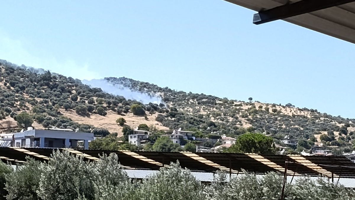 Bozdoğan’da zirai alan yangını