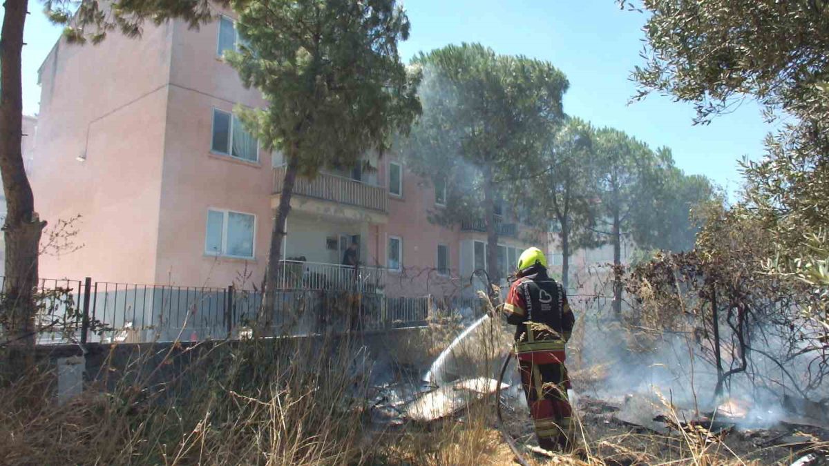 Burhaniye’de zeytinliğe sıçrayan ot yangını polis merkezinde korkuya neden oldu