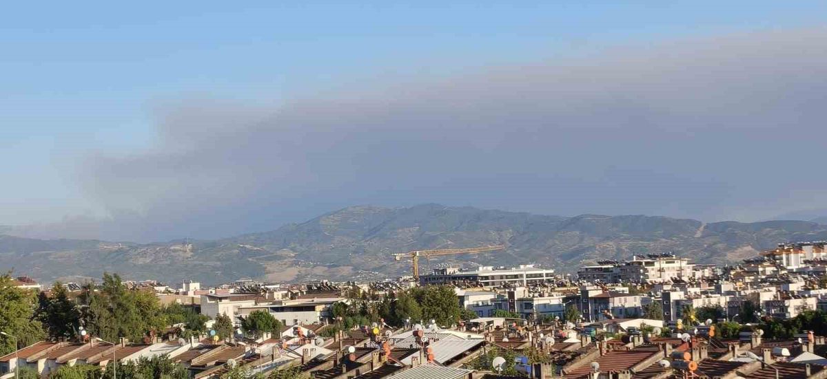 Çine yangının dumanları Efeler’e ulaştı
