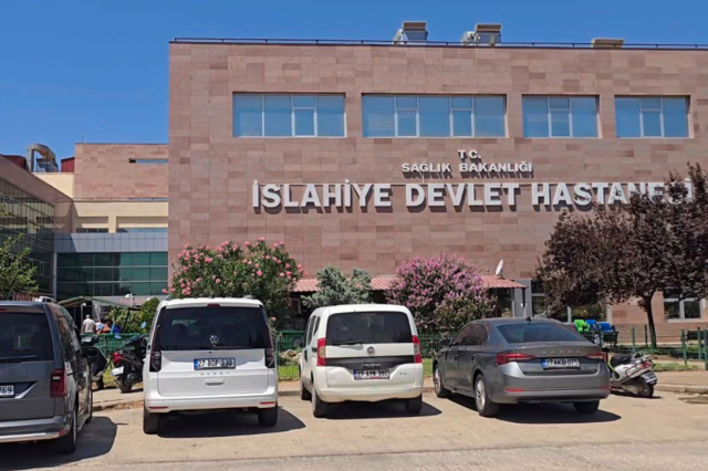 evin bahcesindeki havuzda hare 20101670 7891 1 m