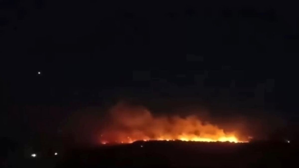 Gaziantep’te orman yangını