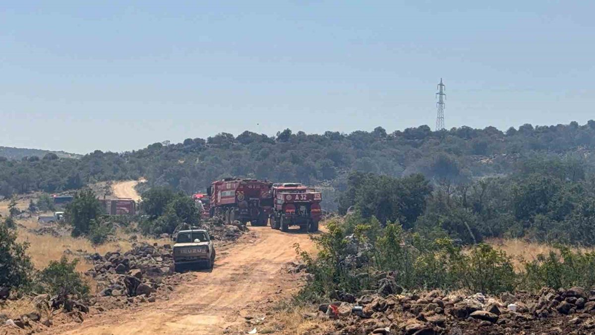 Gaziantep’te orman yangını: Ekiplerin müdahalesi sürüyor