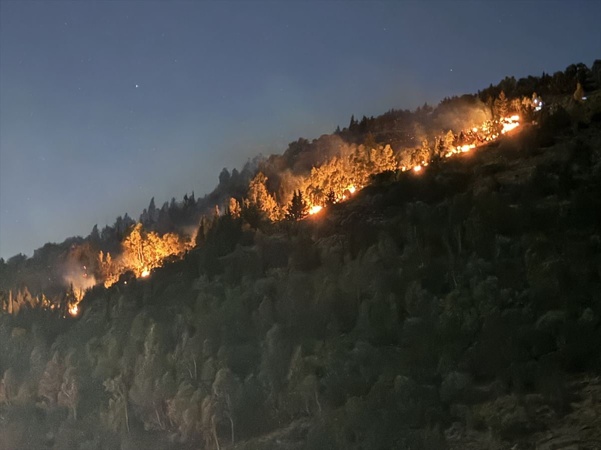 İzmir'de ormanlık alanda çıkan yangına müdahale ediliyor