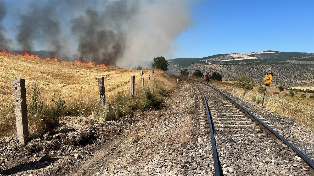 Karabük'te çıkan anız yangını söndürüldü