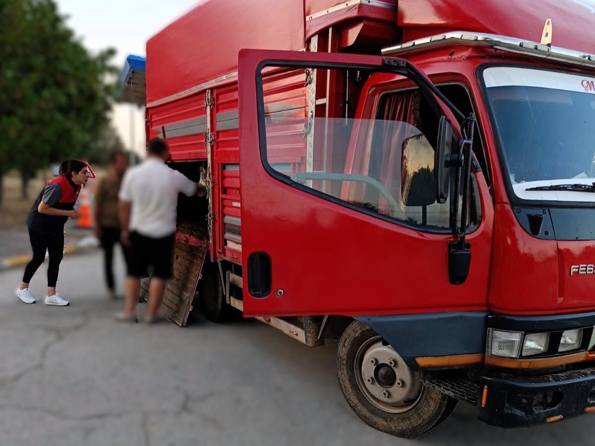 Kırklareli'ne kaçak yolla büyükbaş hayvan getiren kişiye 175 bin lira ceza kesildi