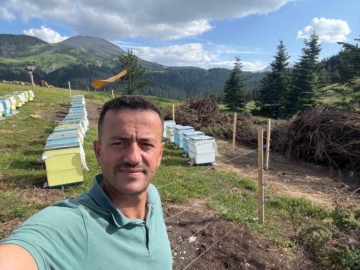 Koruma altındaki gelincik Ilgaz Dağı’nda görüntülendi