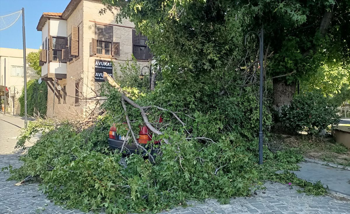 Mersin'de kuvvetli rüzgar etkili oluyor