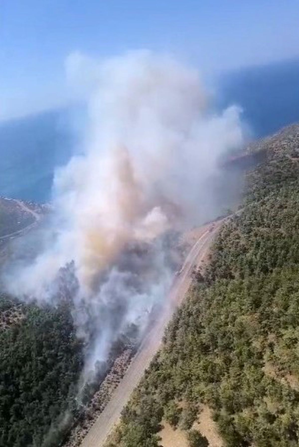 Mersin’de orman yangını: Ekipler havadan ve karadan müdahale ediyor