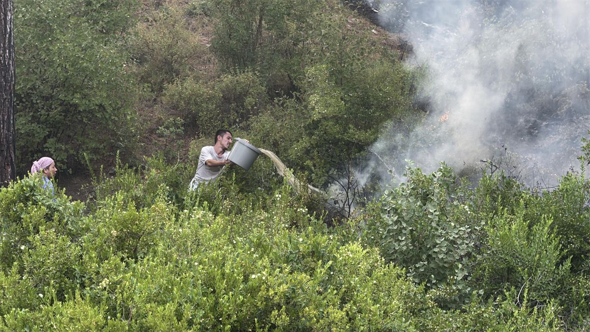 Muğla Seydikemer'deki orman yangınına havadan müdahale yeniden başladı